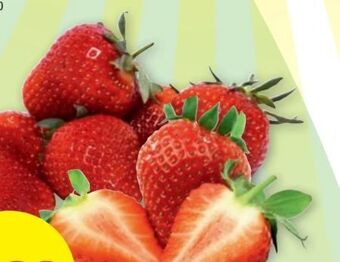 PENNY Erdbeeren Angebot