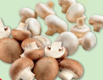 PENNY Champignons Angebot