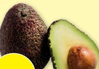 PENNY Avocado Angebot