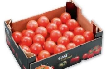 Metro Tomaten Angebot