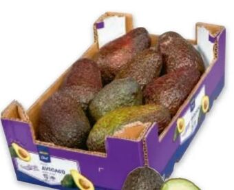 Metro Avocado hass Angebot