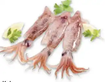 Metro Kalmar tiefgekühlt Angebot