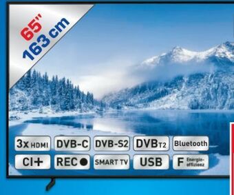 Metro Qled tv 65q60b Angebot