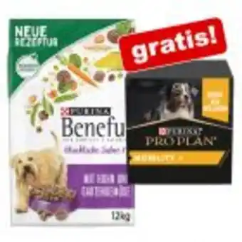 Zooplus 12 kg beneful + 60 g adult & senior mobility supplement pulver gratis! Angebot
