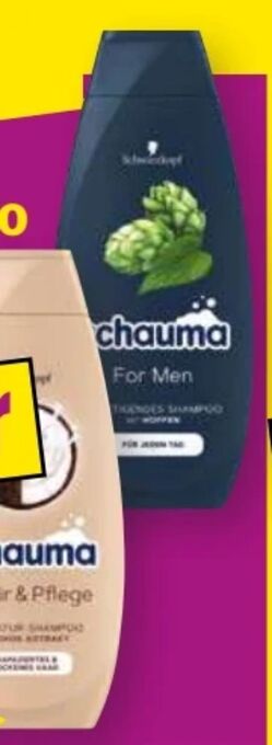 Norma Schauma shampoo Angebot