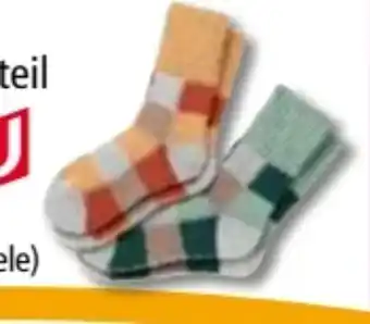 Norma Damen cozy-soft-socken Angebot