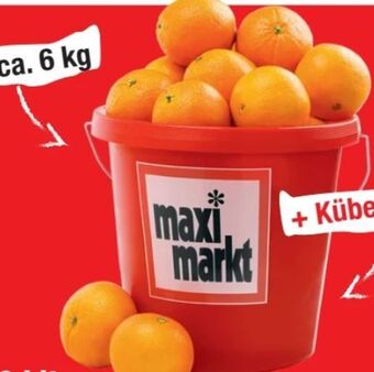 Maximarkt Orangen Angebot