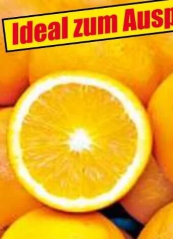 Norma Orangen Angebot