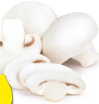 Hofer Champignons Angebot