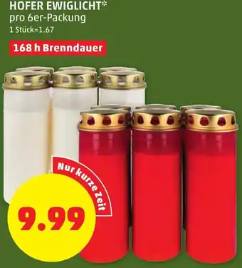 PENNY Hofer Ewiglicht 168 H Brenndauer Angebot