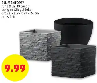 PENNY Blumentopf 27x27x24cm Angebot