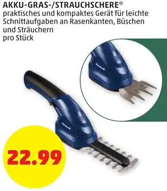 PENNY Akku Gras Strauchschere Angebot