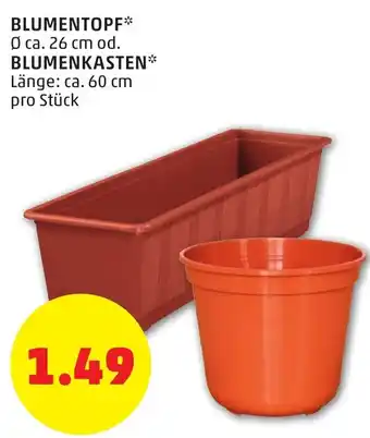 PENNY Blumentopf 26m Od. Blumenkasten 60cm Angebot