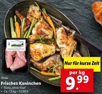 Lidl Olivia Frisches Kaninchen Angebot