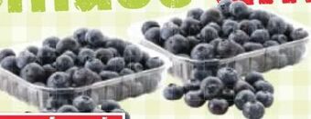 Maximarkt Heidelbeeren Angebot