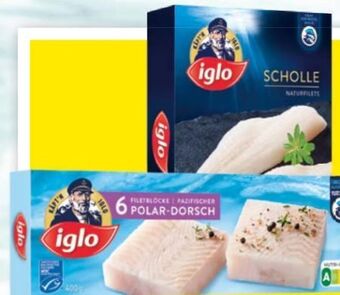 Maximarkt Scholle Angebot