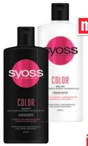 Maximarkt Shampoo Angebot
