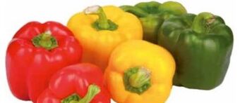 Transgourmet Bio paprika mix Angebot