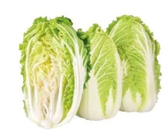 Transgourmet Chinakohl Angebot