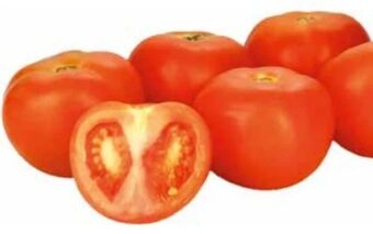 Transgourmet Bio tomaten Angebot