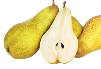 Transgourmet Birne abate fetel Angebot