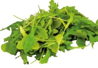 Transgourmet Bio rucola Angebot