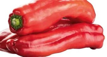 Transgourmet Paprika Angebot
