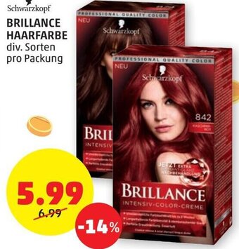 PENNY Schwarzkopf Brillance Haarfarbe Angebot