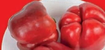 Lidl Paprika Angebot