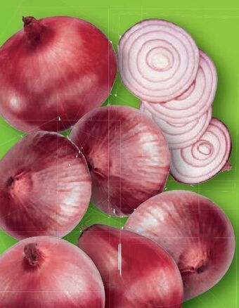 Lidl Zwiebel Angebot