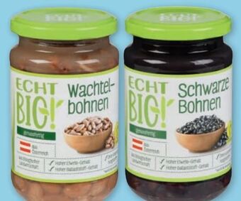 PENNY Bohnen Angebot