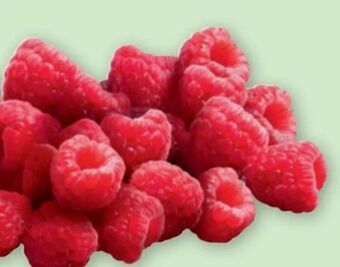 PENNY Himbeeren Angebot
