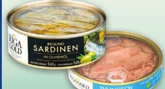 Norma Fisch spezialitäten Angebot