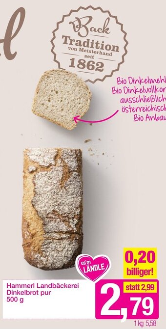 Sutterlüty Hammerl Landbäckerei Dinkelbrot Pur 500g Angebot