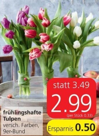 Spar Frühlingshafte Tulpen Angebot