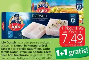 Spar Iglo Dorsch od. Dorsch in knusperbrösel, Zander od. Forelle Naturfilets, Lachsforelle Natur, Premium Atlantik Lachs od. ASC Angebot