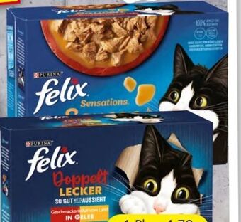 Spar Felix katzennahrung Angebot