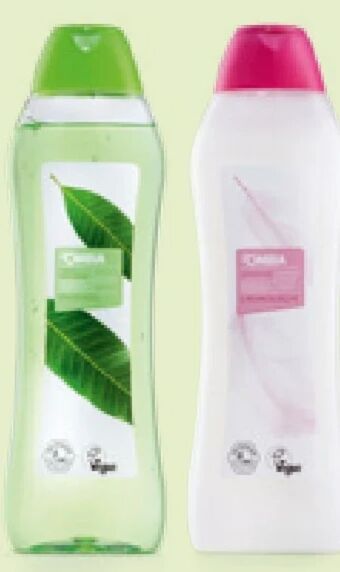 Hofer Duschgel Angebot