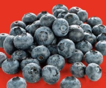 Hofer Heidelbeeren Angebot