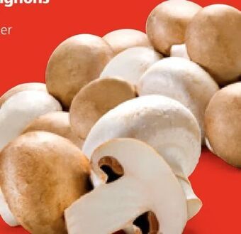 Hofer Champignons Angebot