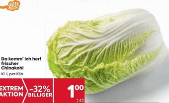 Billa Da komm'ich her! frischer Chinakohl per kilo Angebot