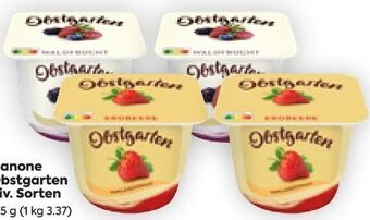 Billa Obstgarten Angebot