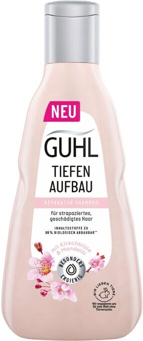 dm Shampoo Angebot
