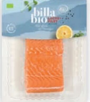Billa Bio lachsfilet Angebot