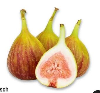 Metro Feigen Angebot