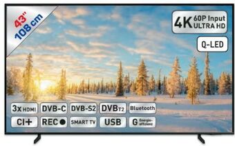 Metro Qled tv 43q60b Angebot