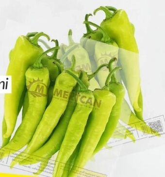 ETSAN Charly pfefferoni Angebot