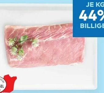 T&G XL Premium Karreerose Angebot