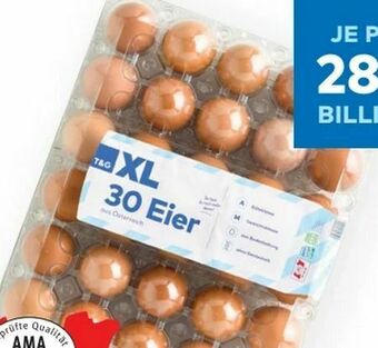 T&G XL Eier Angebot