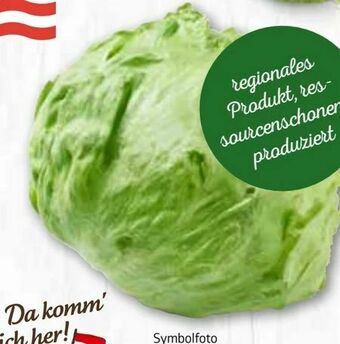 ADEG Eissalat Angebot